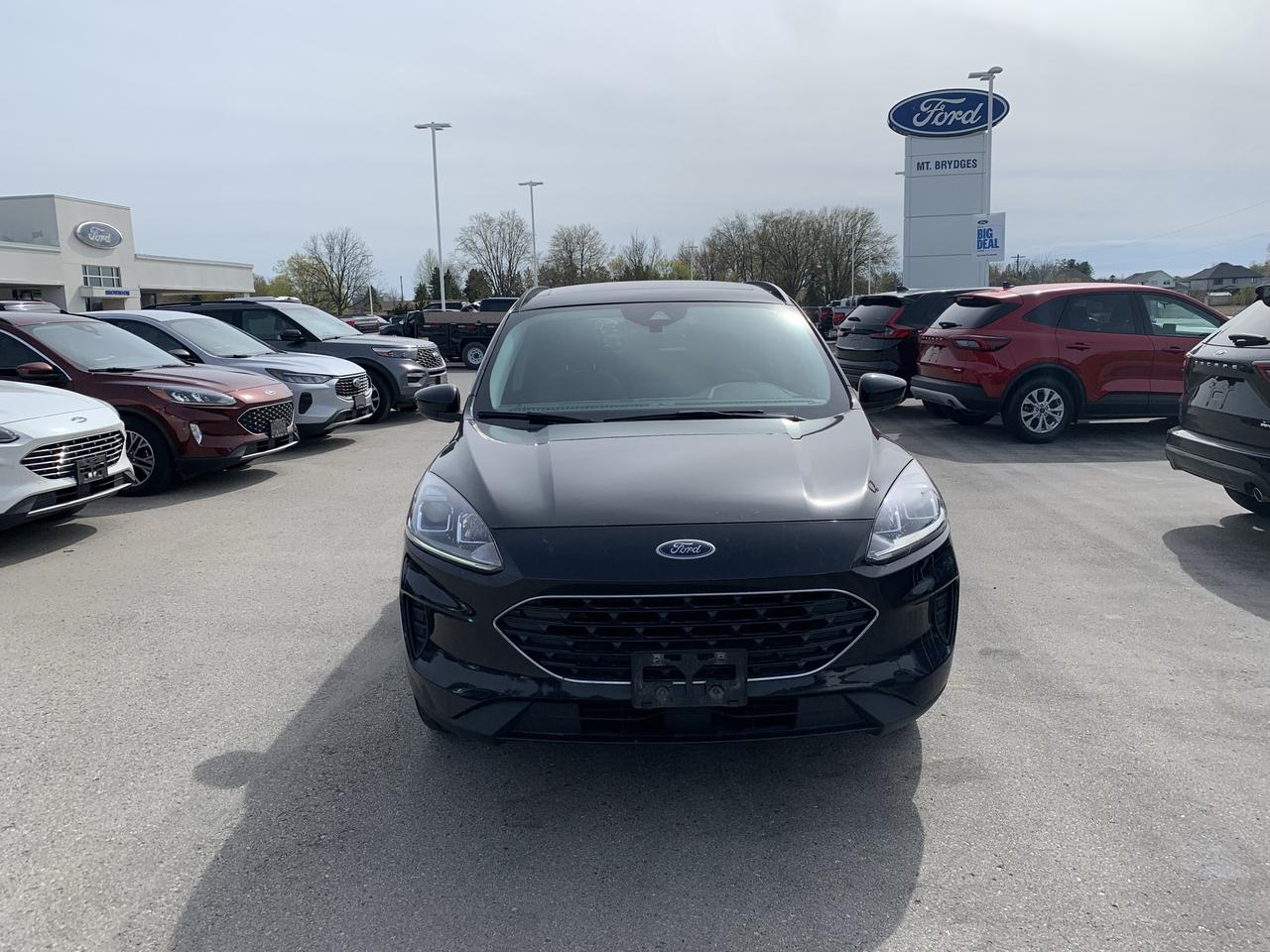 2022 Ford Escape SE AWD Photo