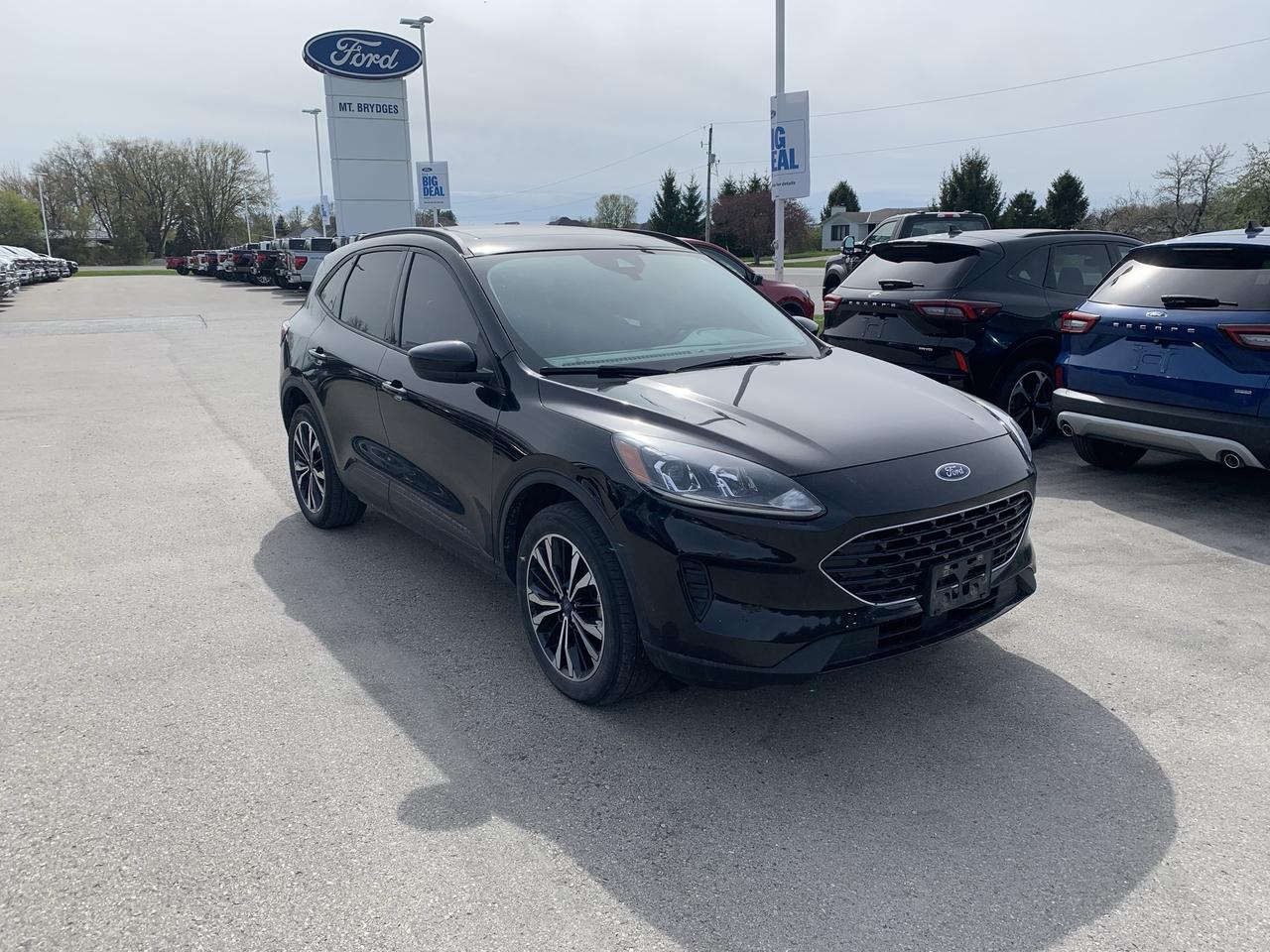 2022 Ford Escape SE AWD Photo