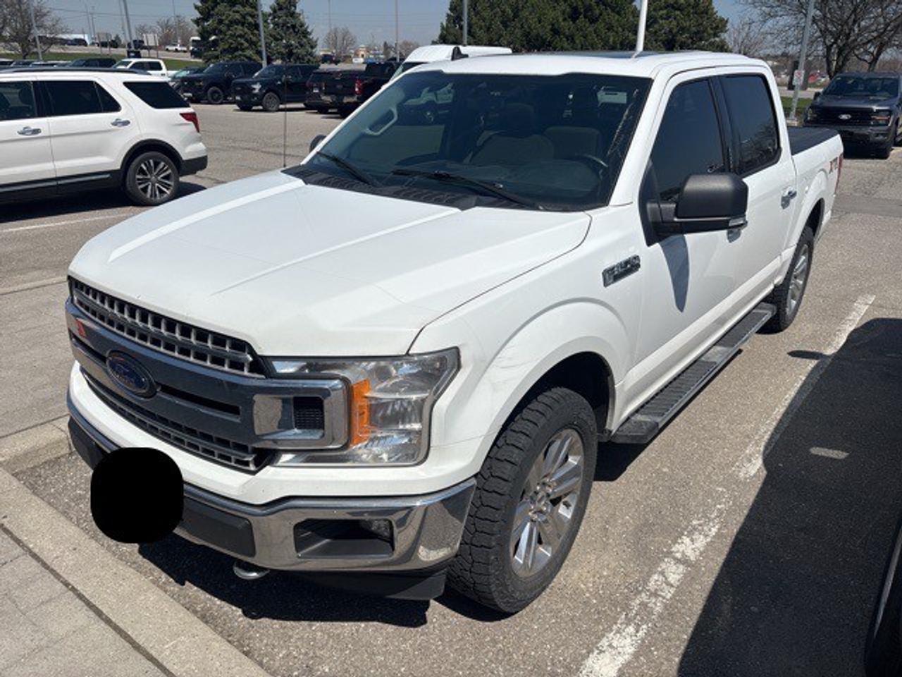 2019 Ford F-150 XLT 302A|HEATED SEATS|20 " WHLS|MOONROOF|NAV|TAILGATE STEP Photo