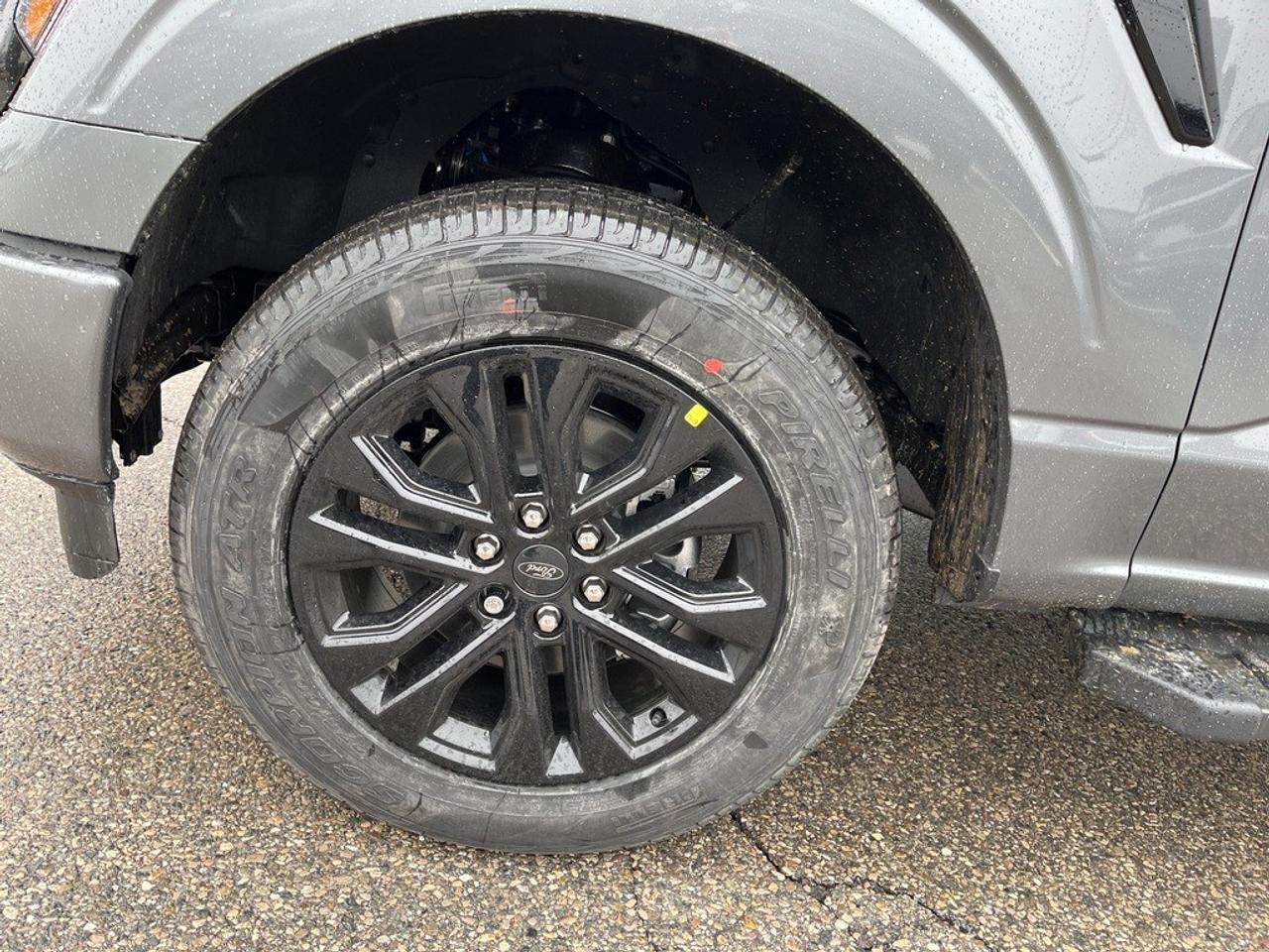 2026 Ford F-150 XLT 4WD SuperCrew 5.5' Box Photo