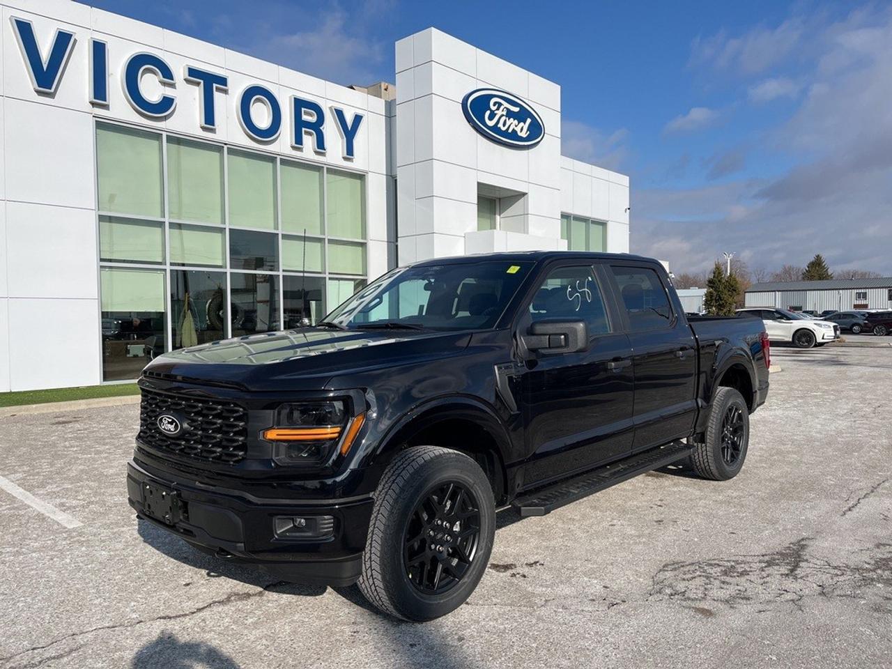 2025 Ford F-150 STX 4WD SuperCrew 5.5' Box Photo