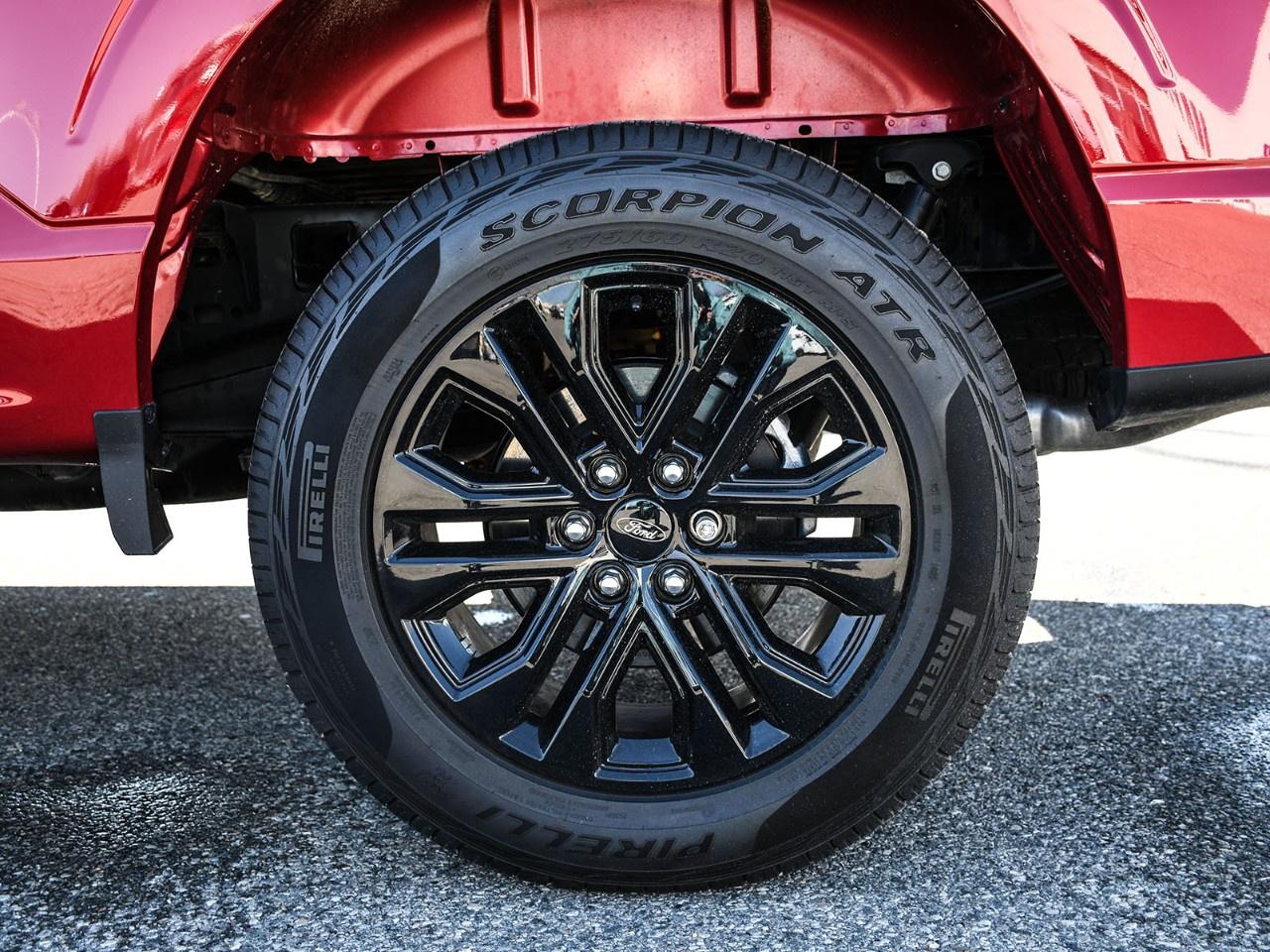 2025 Ford F-150 XLT 4WD SuperCrew 5.5' Box Photo