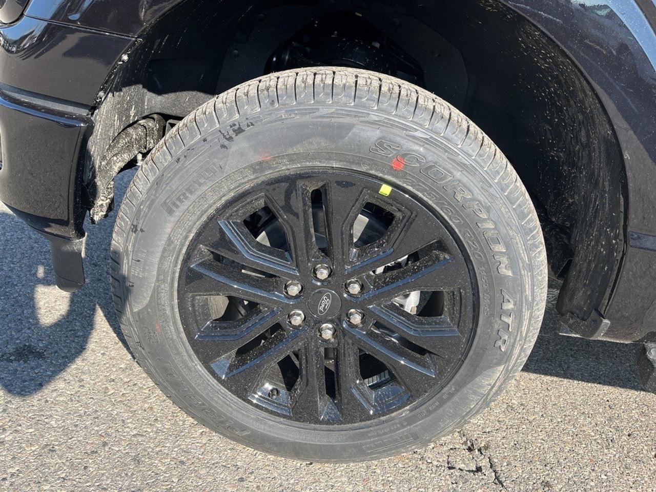 2026 Ford F-150 XLT 4WD SuperCrew 5.5' Box Photo