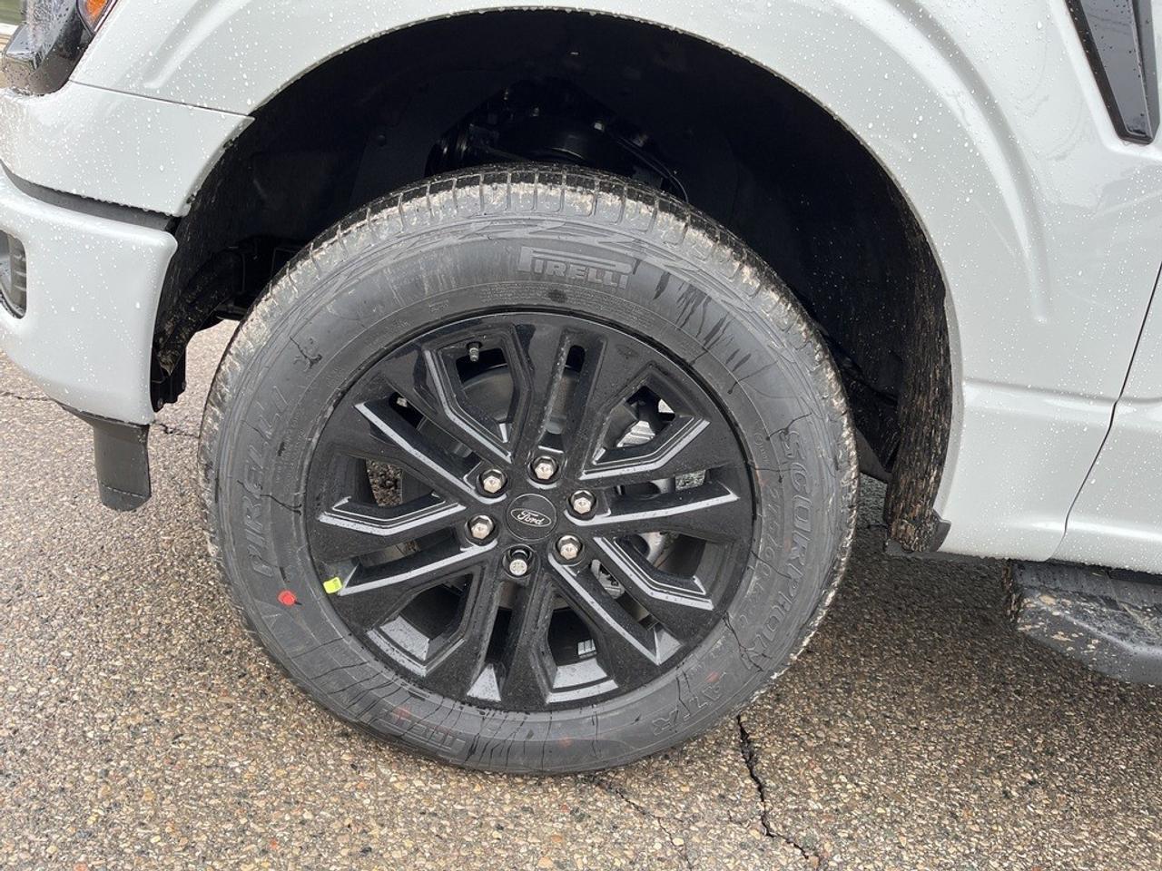 2026 Ford F-150 XLT 4WD SuperCrew 5.5' Box Photo