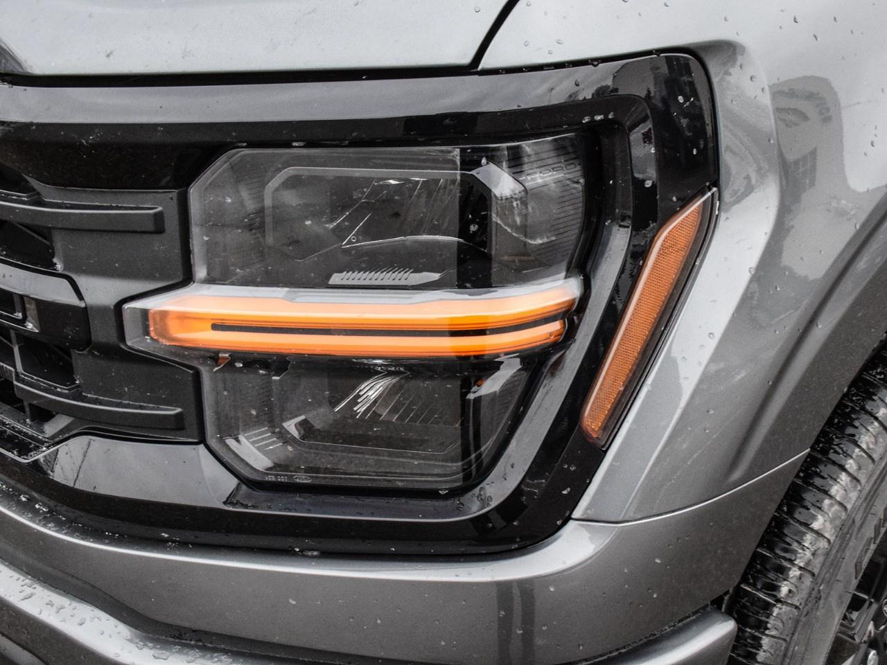 2025 Ford F-150 XLT 4WD SuperCrew 5.5' Box Photo