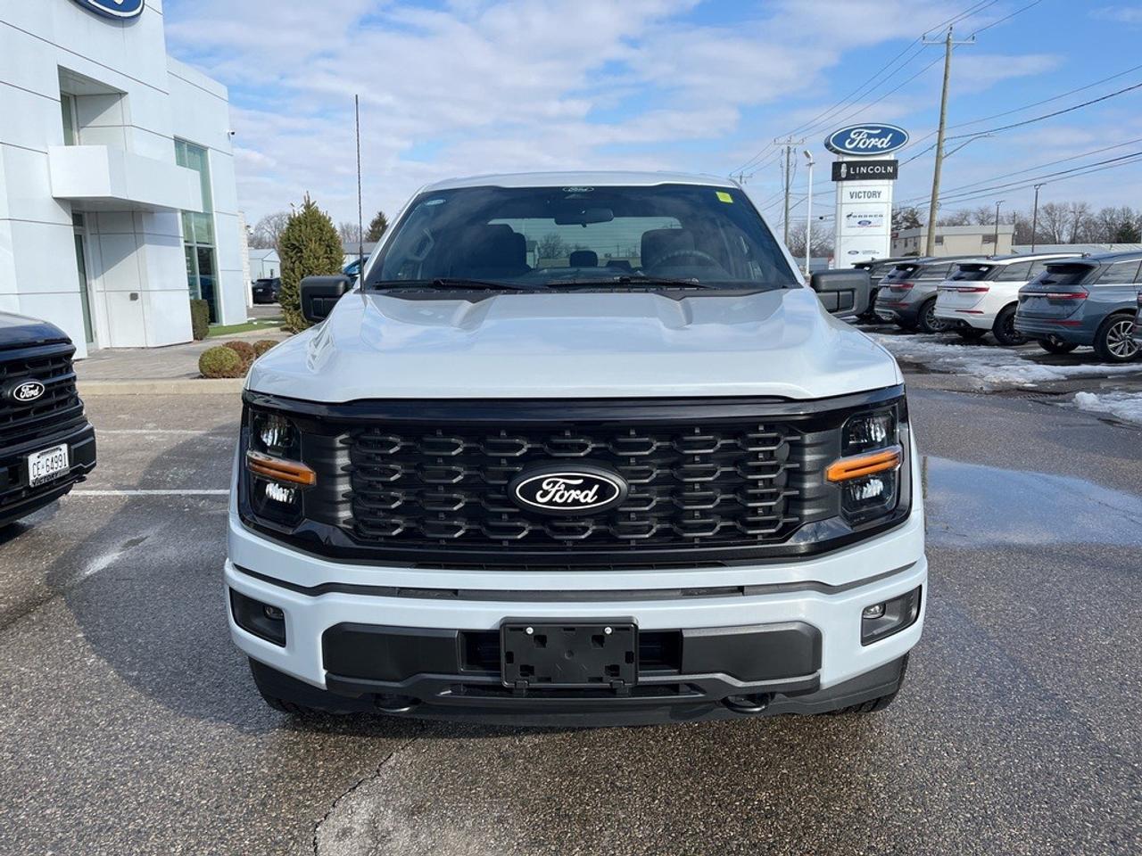 2025 Ford F-150 STX 4WD SuperCrew 5.5' Box Photo