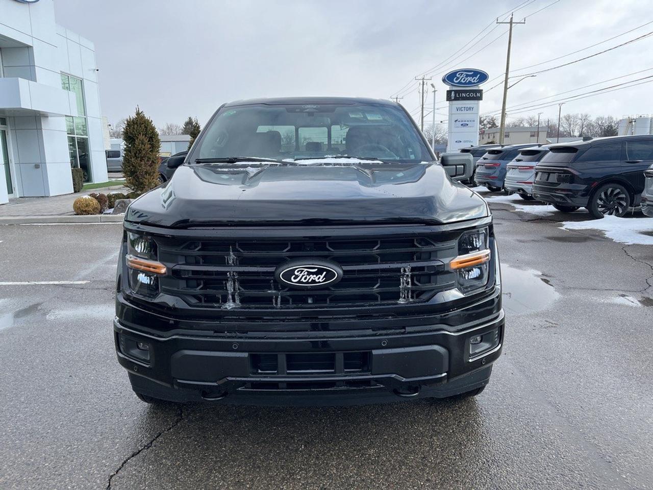 2026 Ford F-150 XLT 4WD SuperCrew 5.5' Box Photo