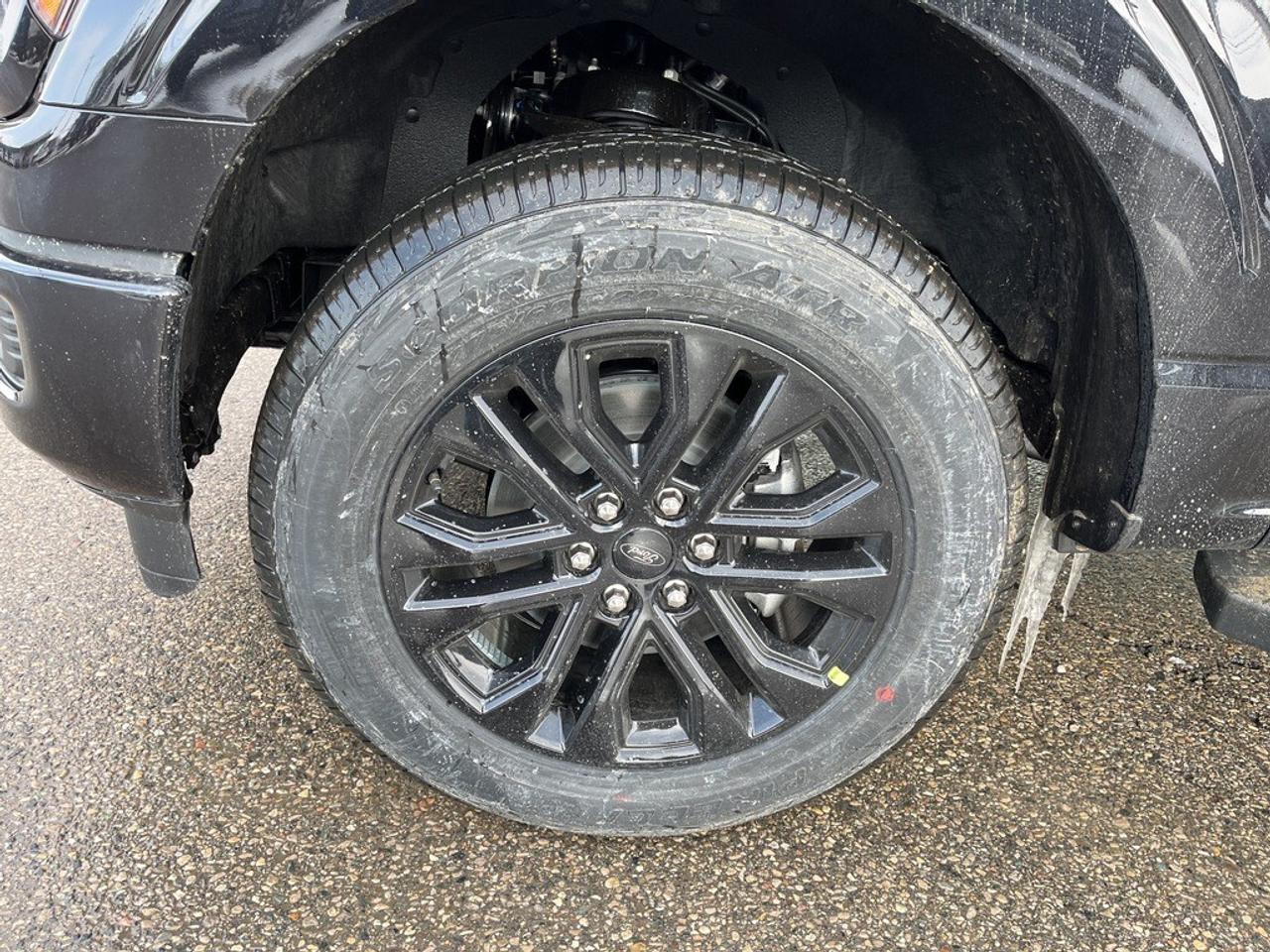 2026 Ford F-150 XLT 4WD SuperCrew 5.5' Box Photo