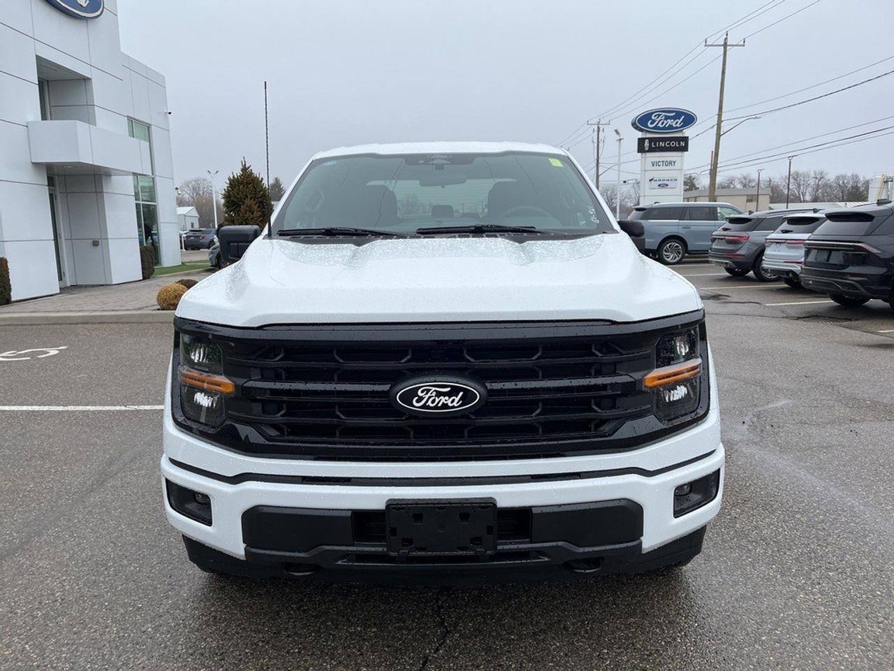 2026 Ford F-150 XLT 4WD SuperCrew 5.5' Box Photo