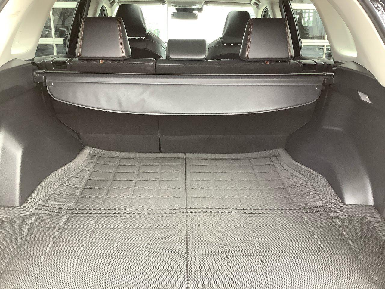 2020 Toyota RAV4 TRAIL Photo
