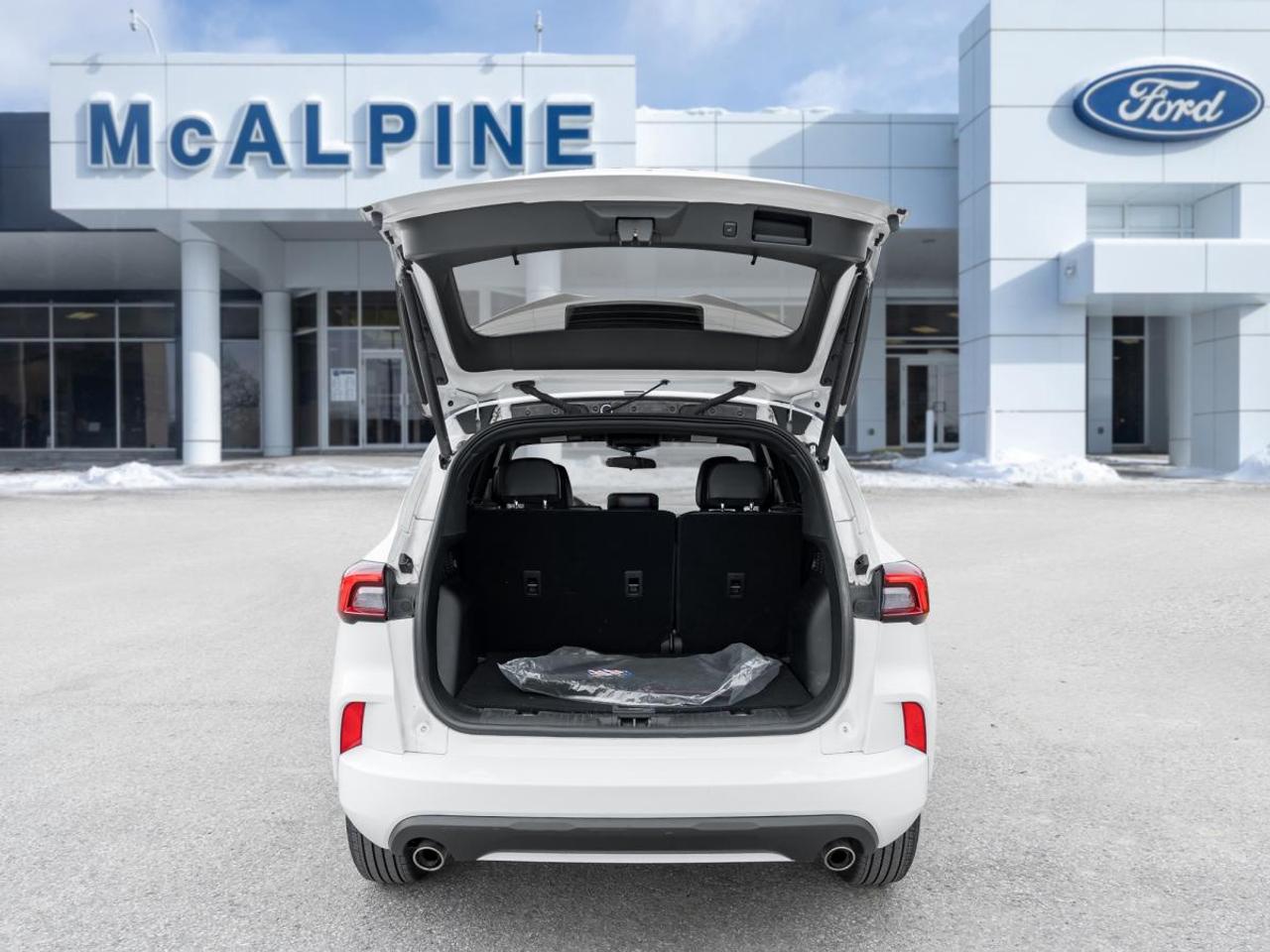2023 Ford Escape ST-Line Photo