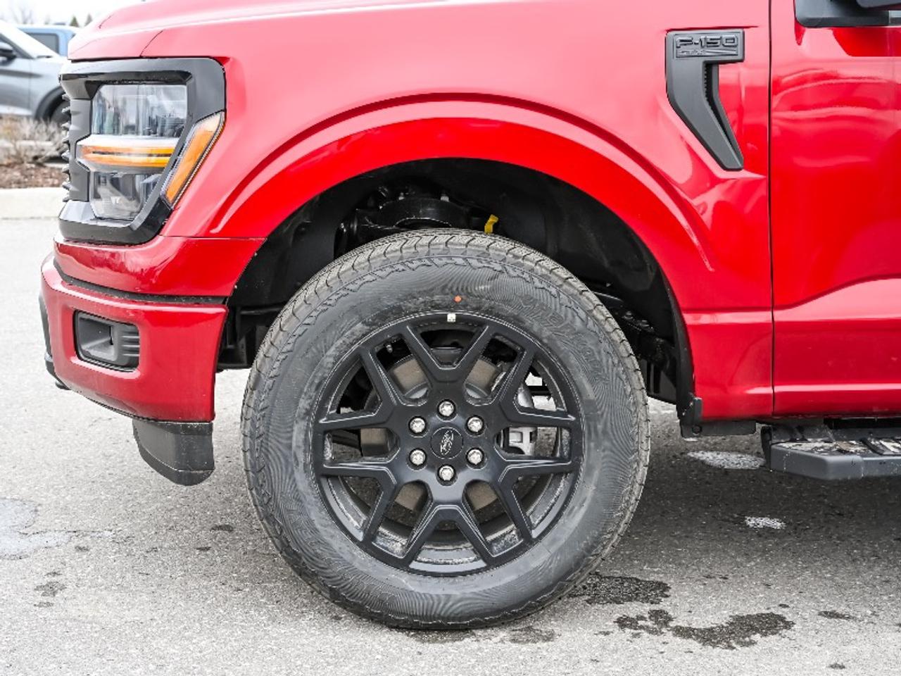 2026 Ford F-150 STX Photo