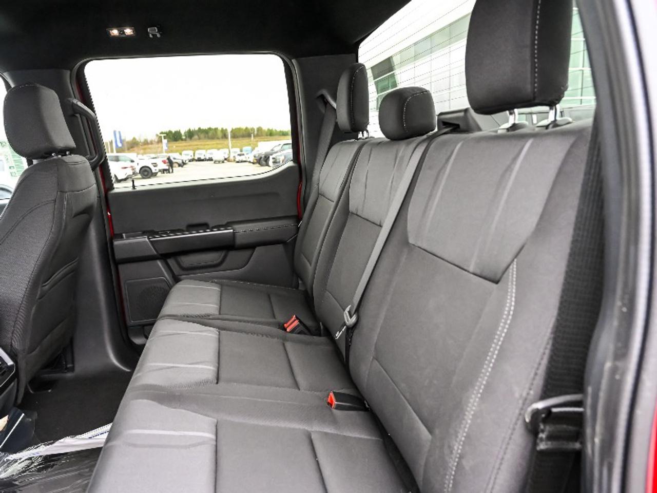2026 Ford F-150 STX Photo