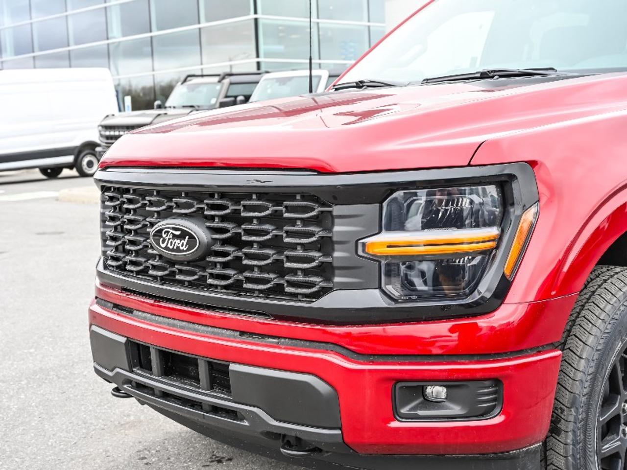2026 Ford F-150 STX Photo