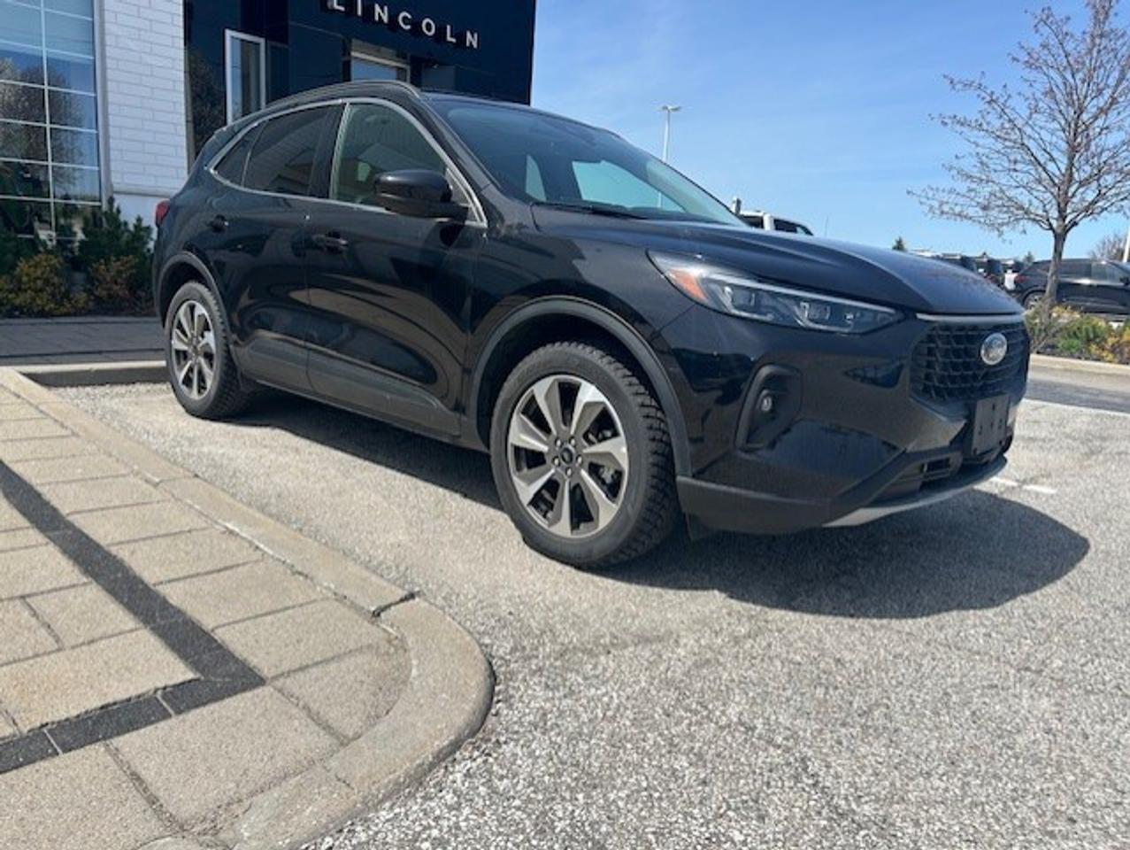 2025 Ford Escape Platinum AWD Photo