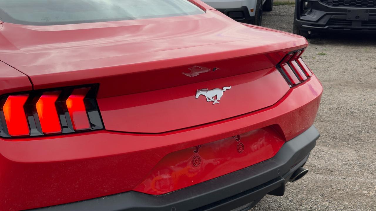 2026 Ford Mustang EcoBoost Premium Fastback Photo