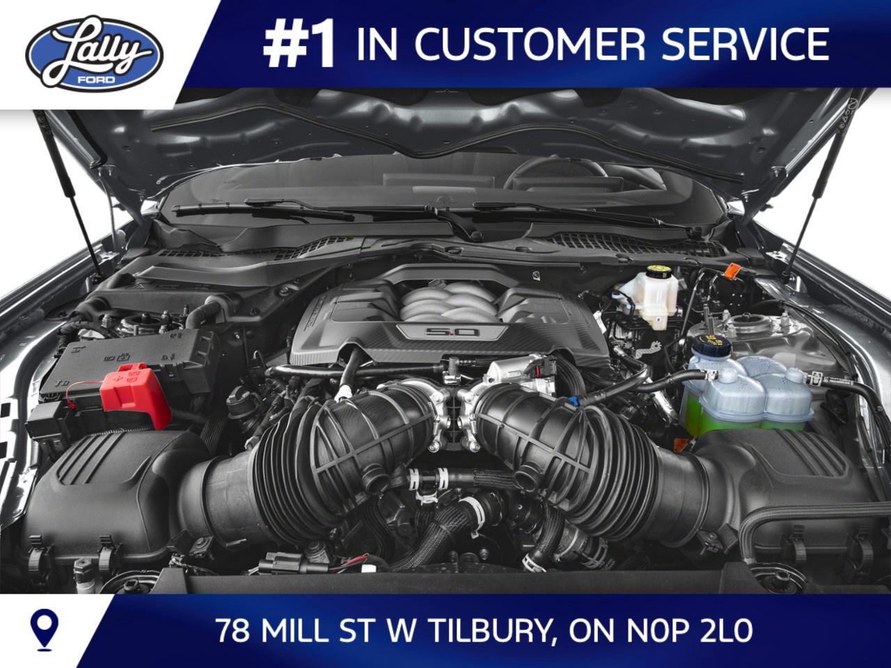 2026 Ford Mustang GT Premium Fastback Photo