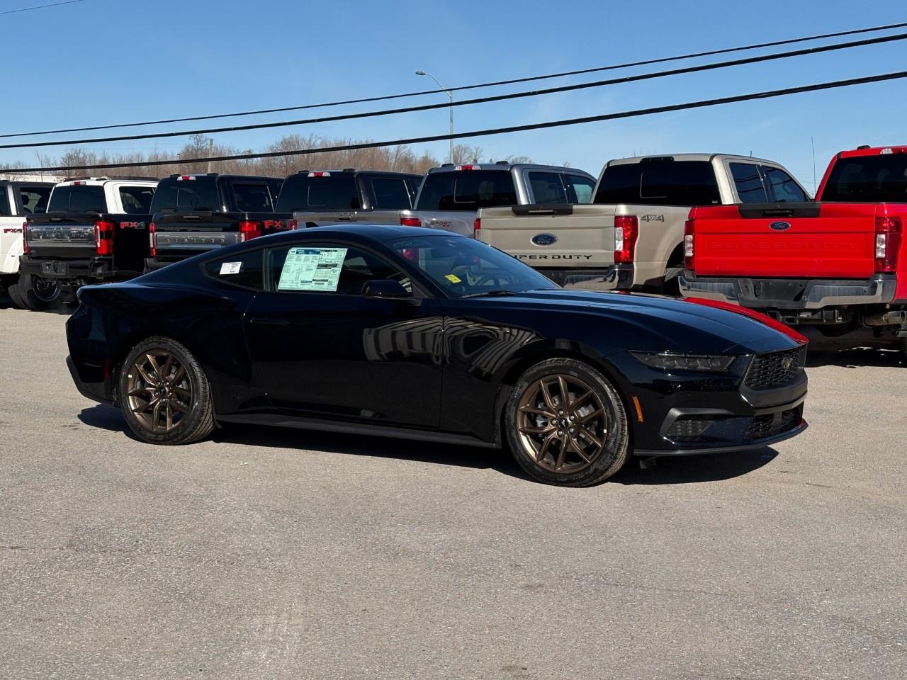 2026 Ford Mustang EcoBoost Fastback Photo