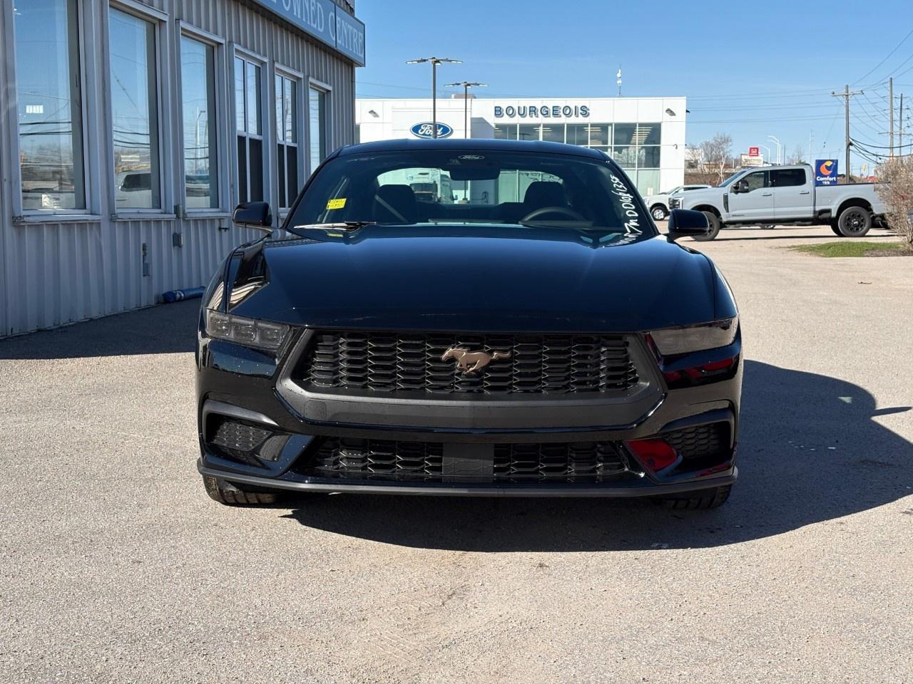 2026 Ford Mustang EcoBoost Fastback Photo2