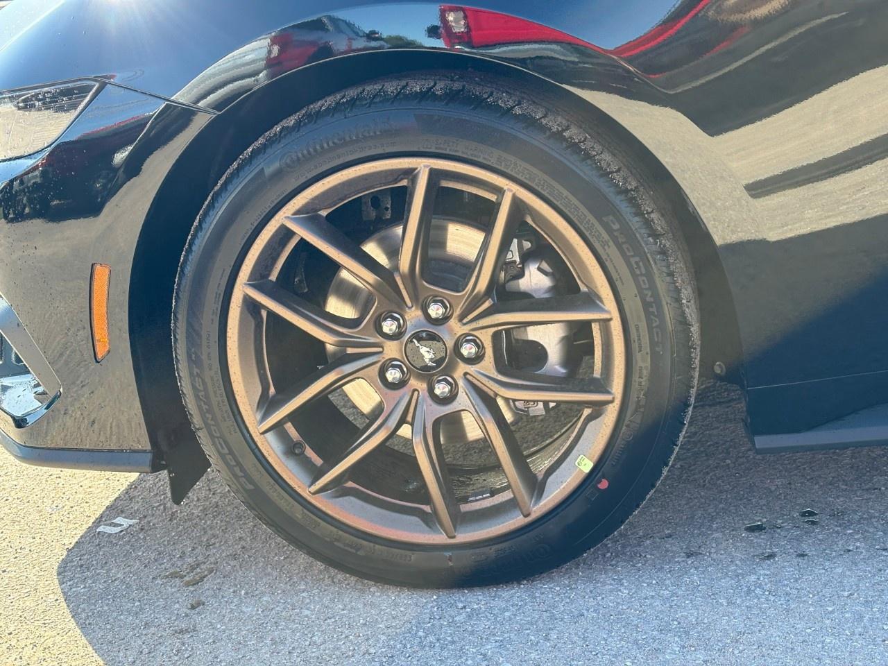 2026 Ford Mustang EcoBoost Fastback Photo