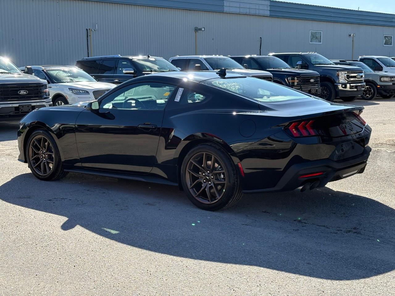 2026 Ford Mustang EcoBoost Fastback Photo