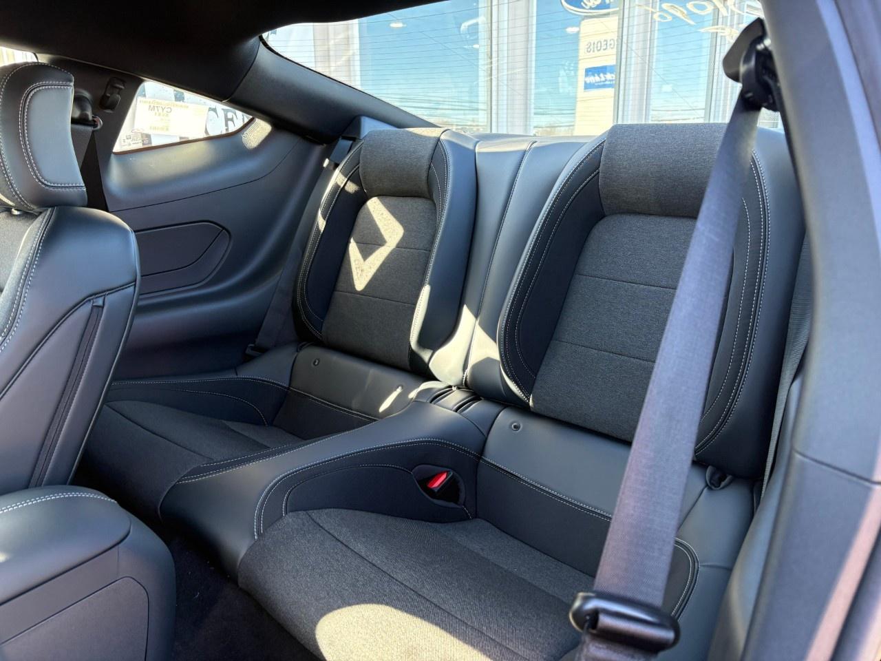 2026 Ford Mustang EcoBoost Fastback Photo