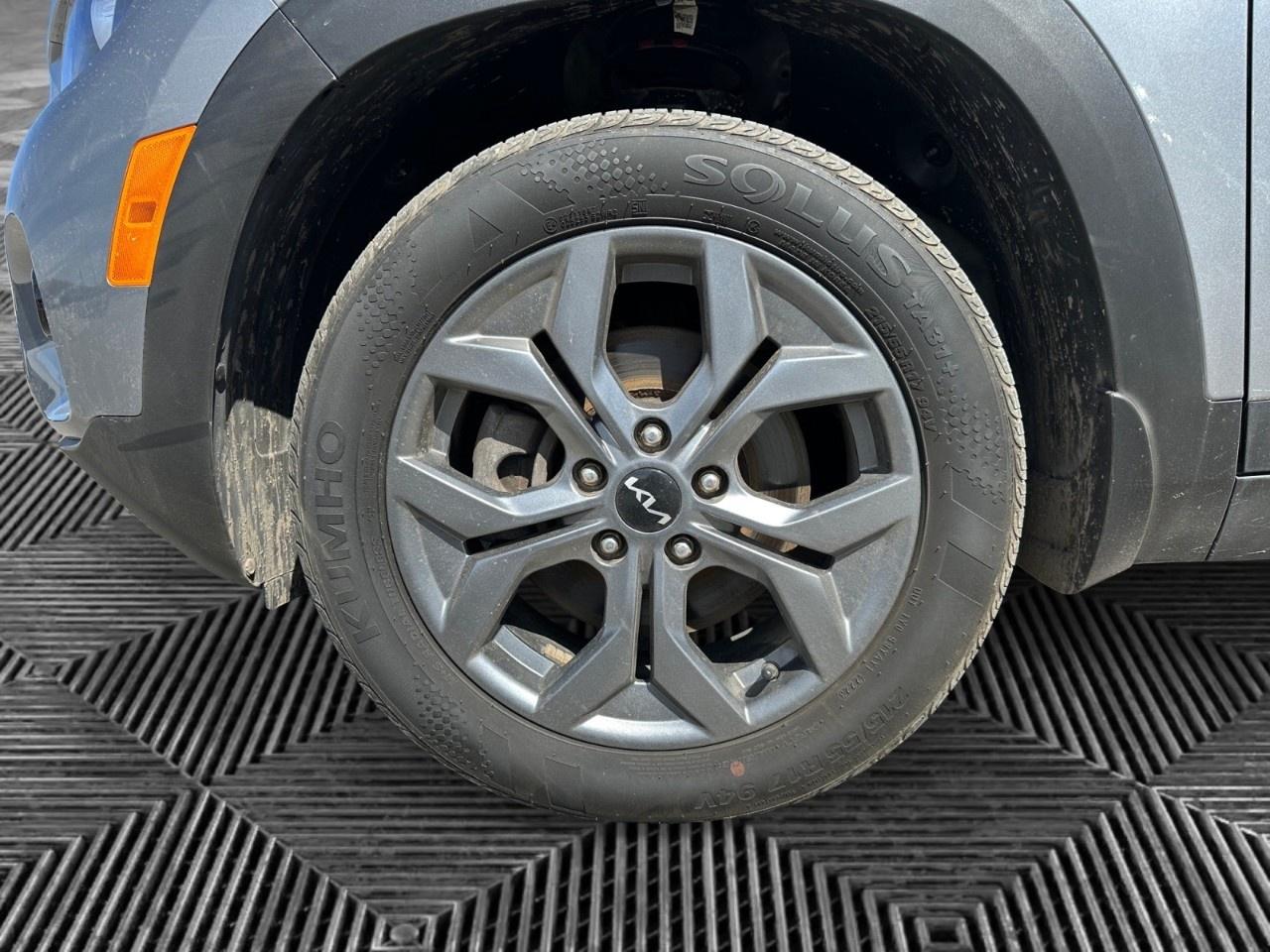 2024 Kia Seltos LX AWD Photo