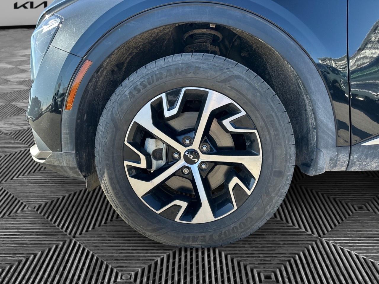2023 Kia Sportage EX AWD Photo