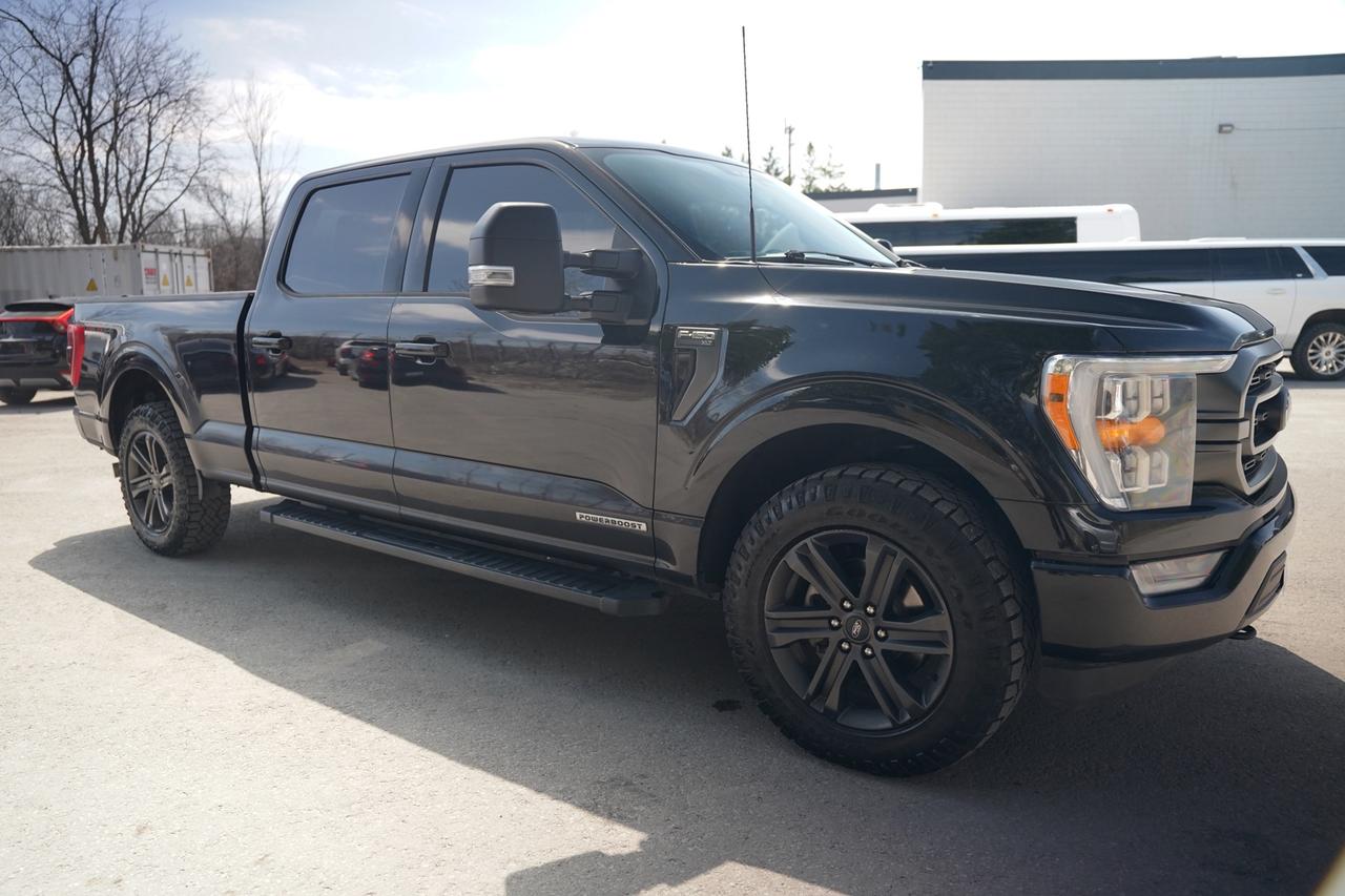 2022 Ford F-150 XLT SuperCrew 6.5-ft. Bed 4WD Photo