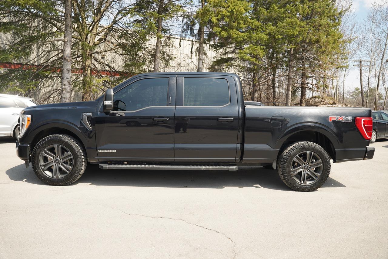 2022 Ford F-150 XLT SuperCrew 6.5-ft. Bed 4WD Photo