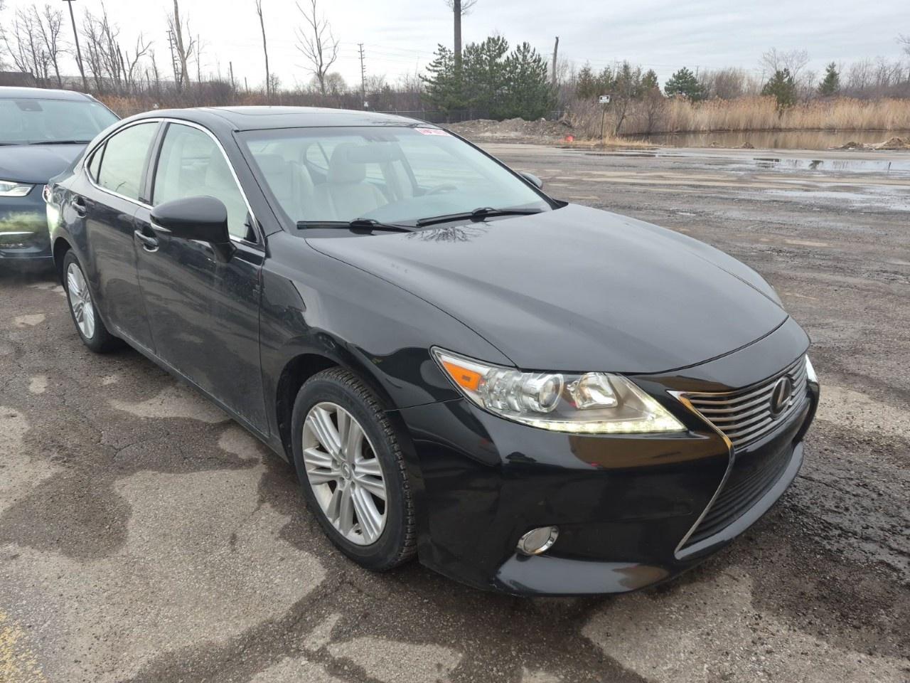 2014 Lexus ES 350 4dr Sdn Photo