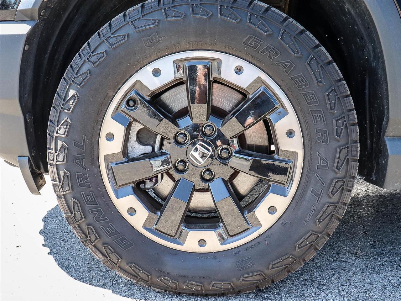 2026 Honda Passport TrailSport Touring Photo