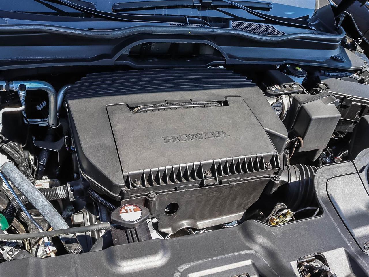 2026 Honda Passport TrailSport Touring Photo