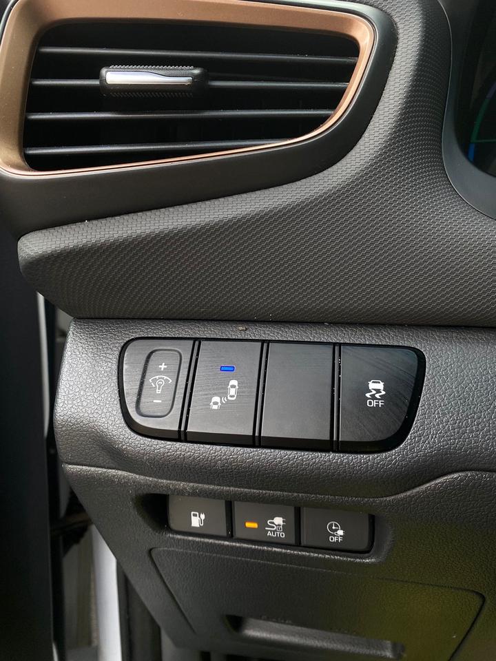 2019 Hyundai Ioniq Electric Preferred | NO ACCIDENT Photo