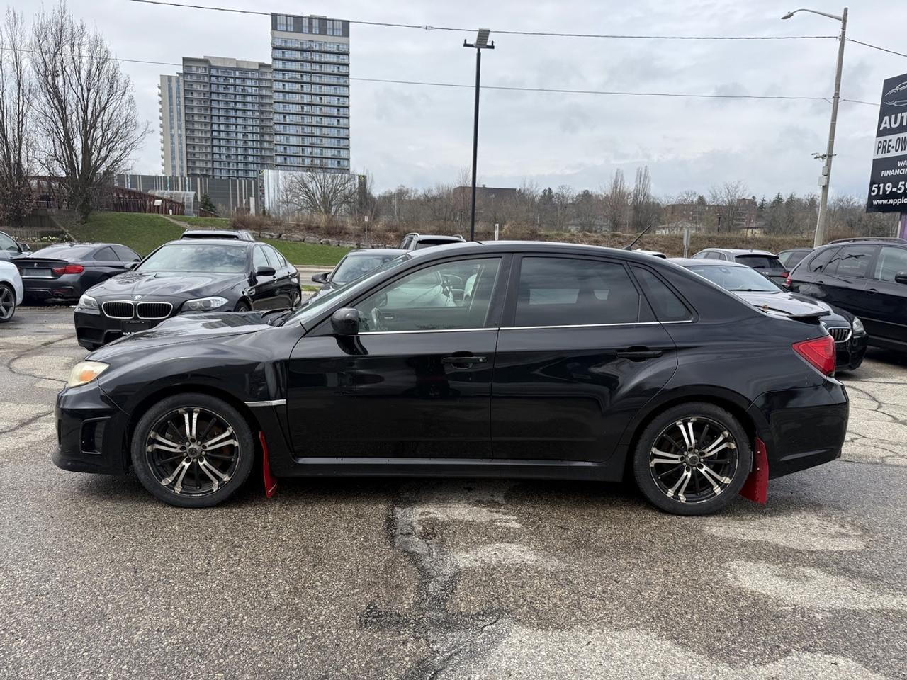 2013 Subaru Impreza WRX  Photo