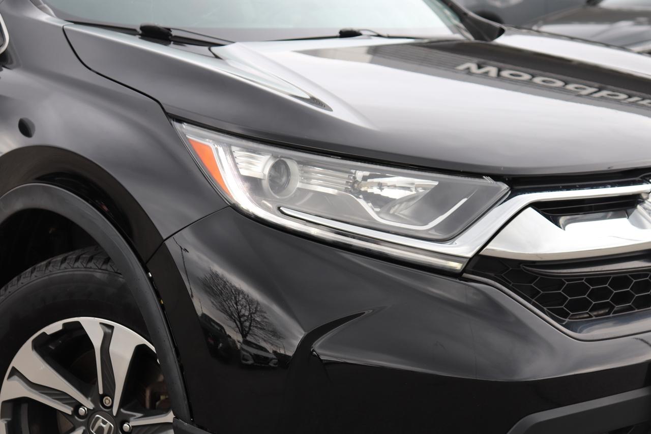 2019 Honda CR-V LX AWD CERTIFIED Photo2