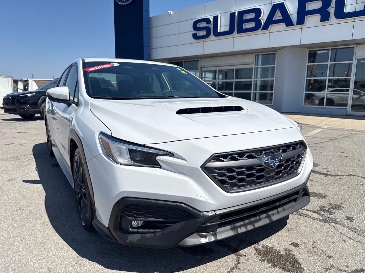 2023 Subaru WRX Sport-tech (CVT) 4dr All-Wheel Drive Sedan Photo