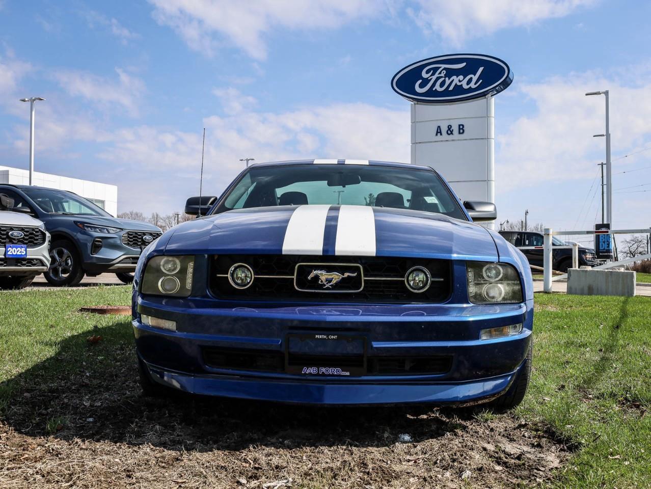 2006 Ford Mustang V6 2dr Coupe Photo