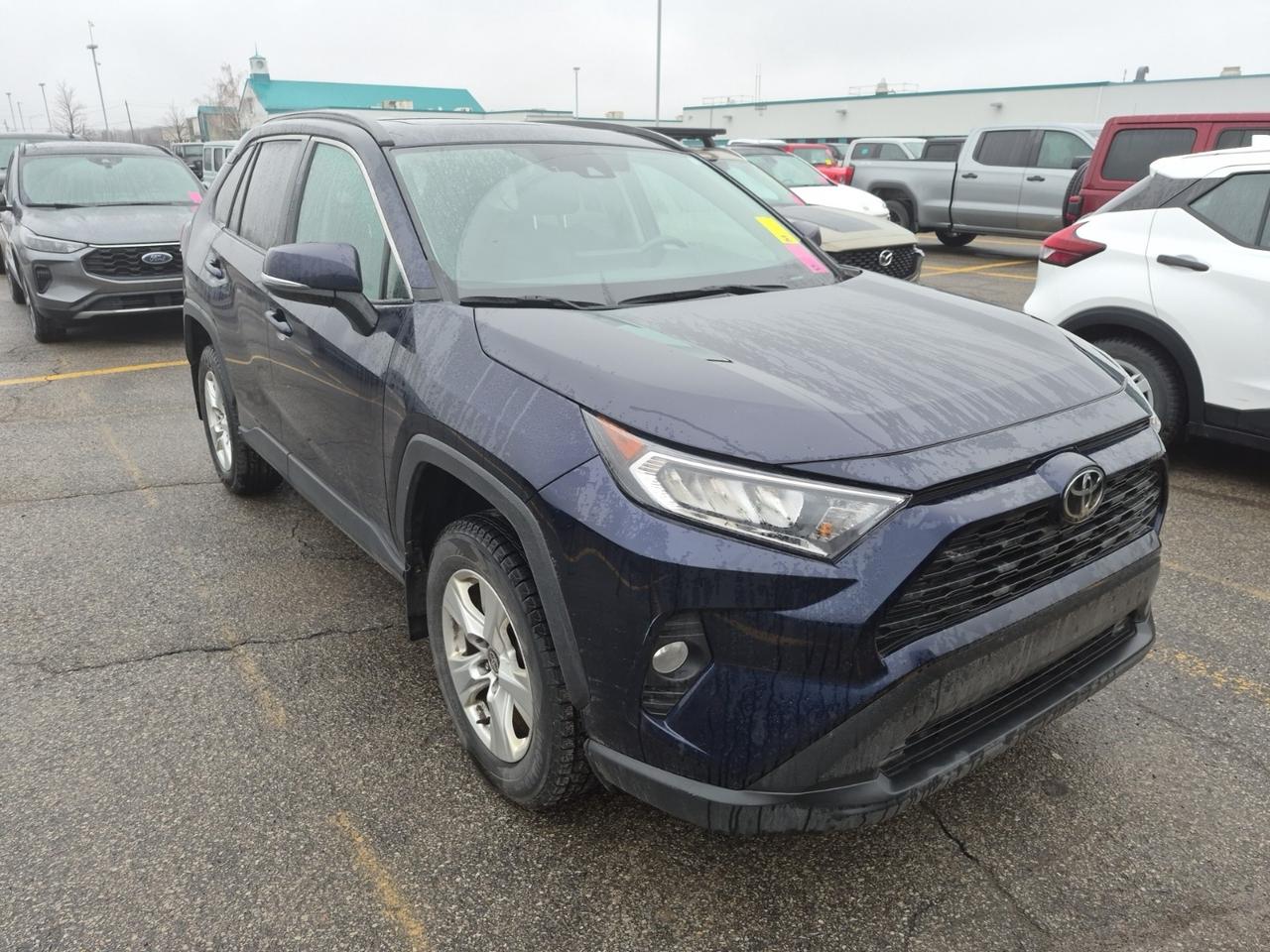 2021 Toyota RAV4 No Accidents l XLE l AWD l 2.5L l 4Cyl l Auto Photo