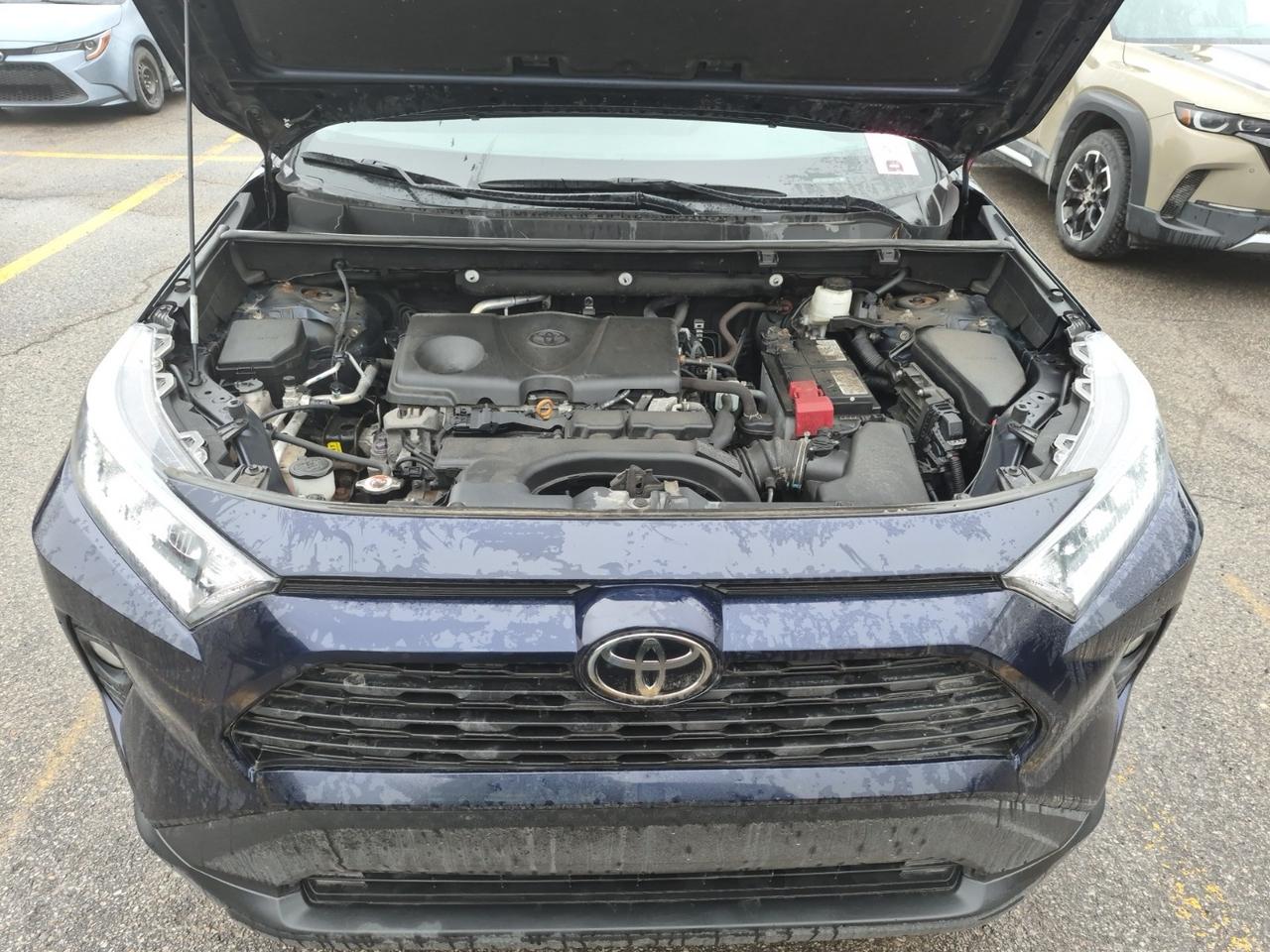 2021 Toyota RAV4 No Accidents l XLE l AWD l 2.5L l 4Cyl l Auto Photo