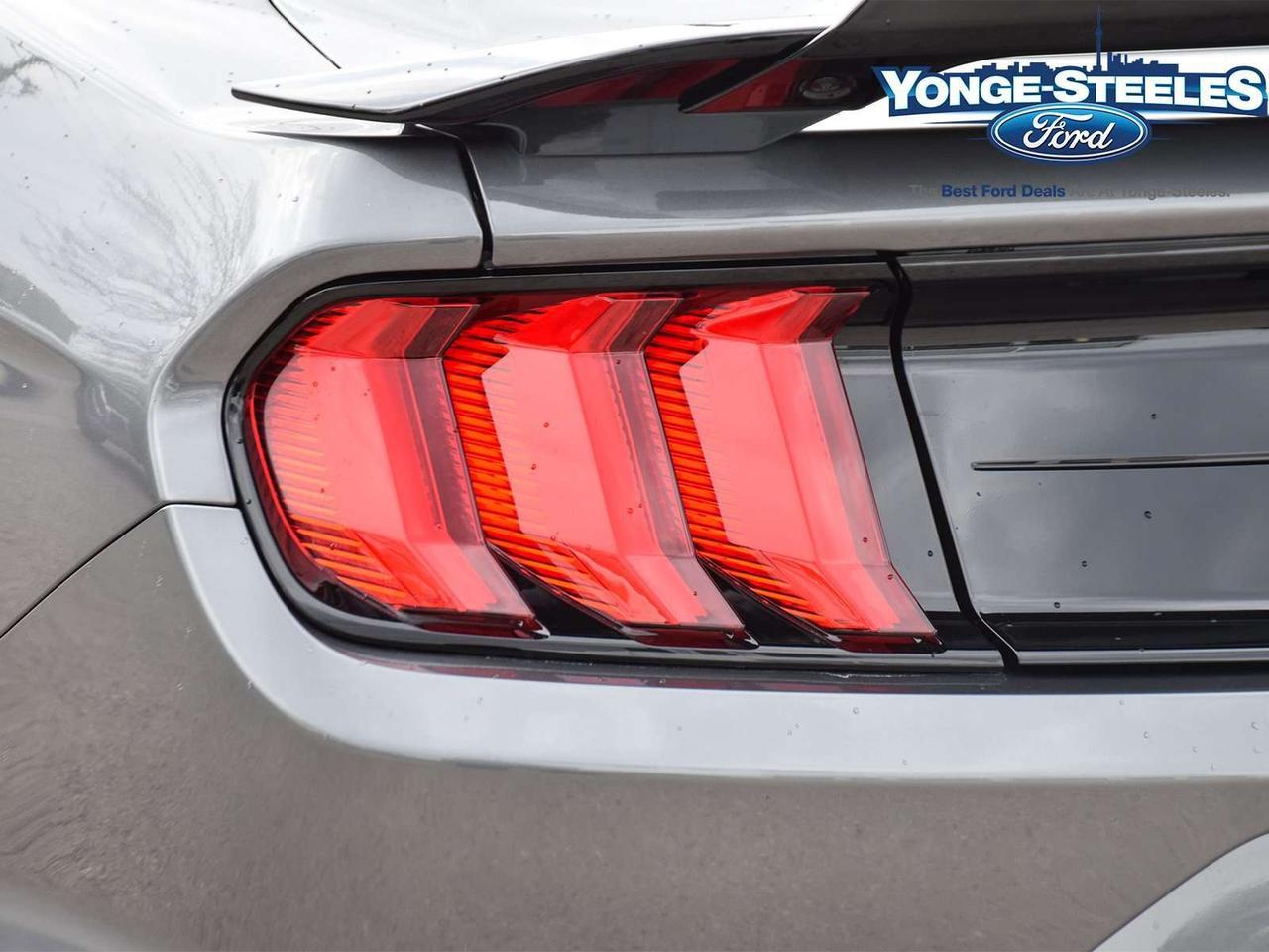 2021 Ford Mustang Shelby GT500 Fastback Photo