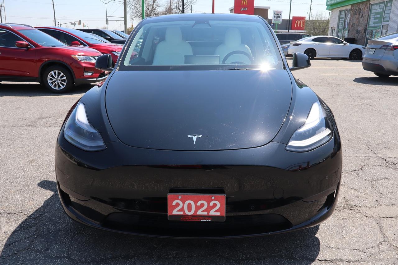 2022 Tesla Model Y Performance   No Accident   White Int   Dual Motor Photo