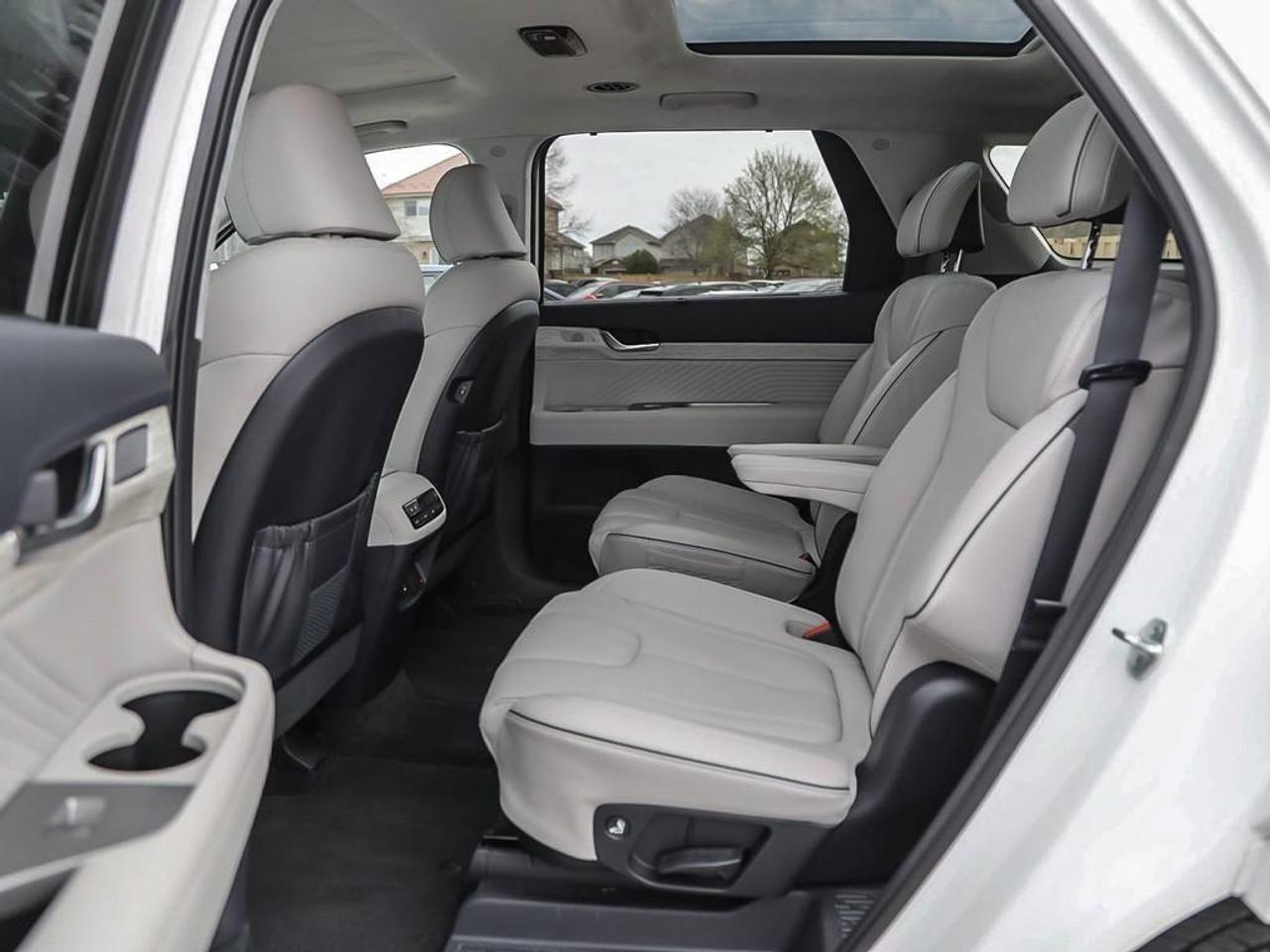 2025 Hyundai PALISADE Ultimate Calligraphy 4dr All-Wheel Drive Photo