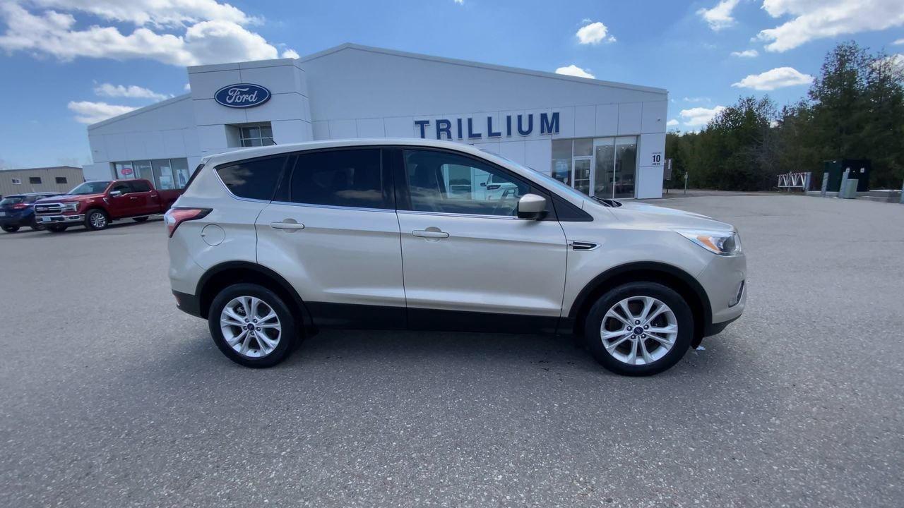 2017 Ford Escape SE Photo