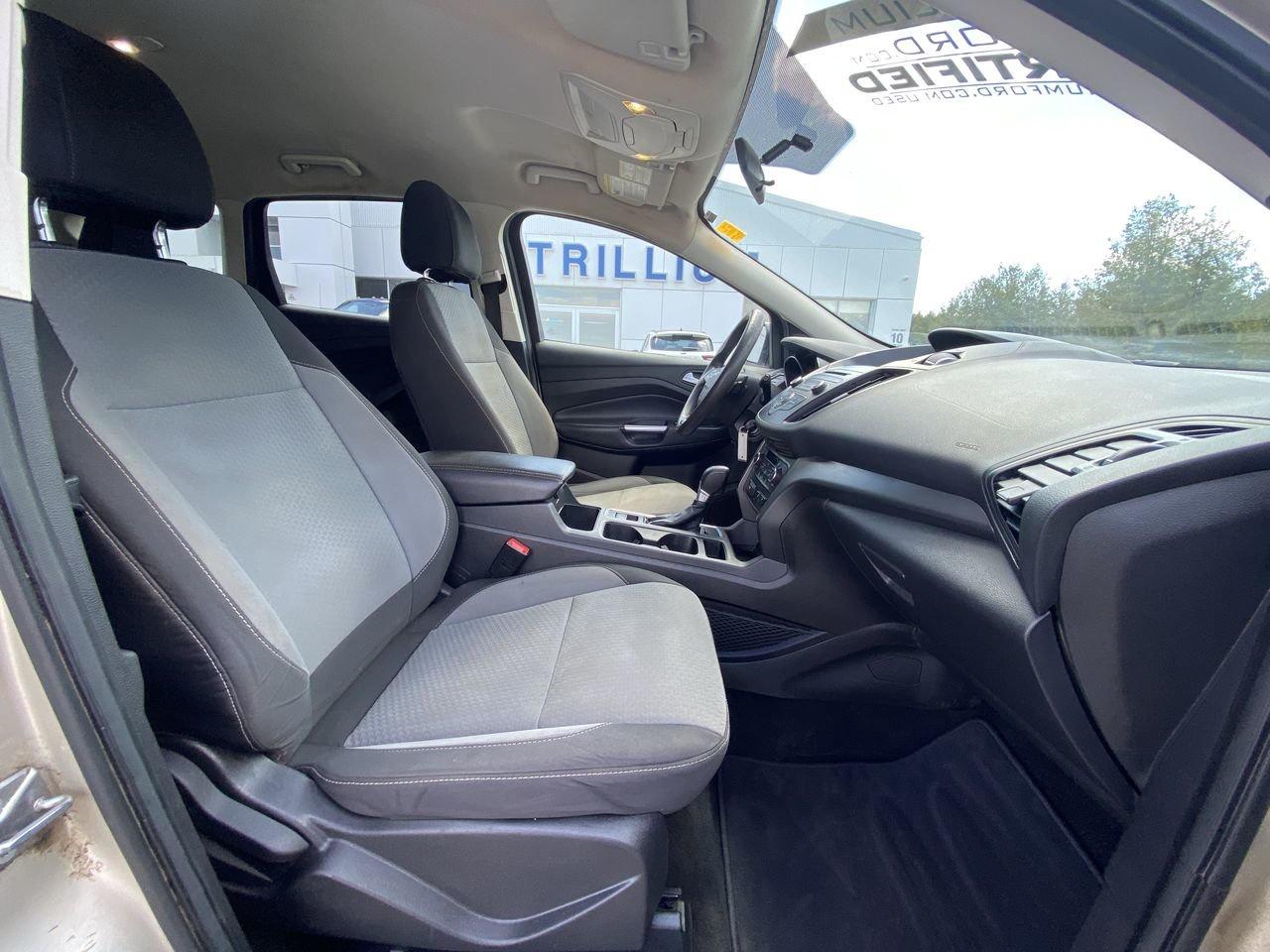 2017 Ford Escape SE Photo