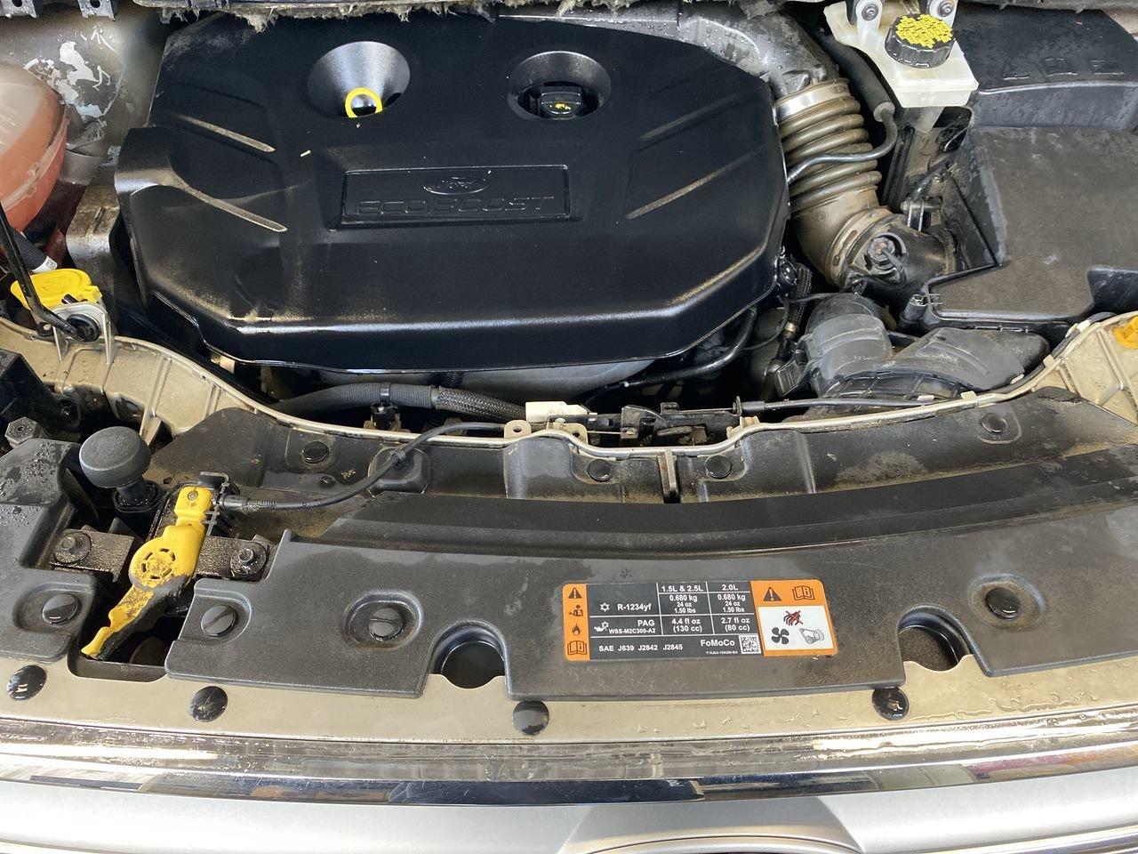 2017 Ford Escape SE Photo