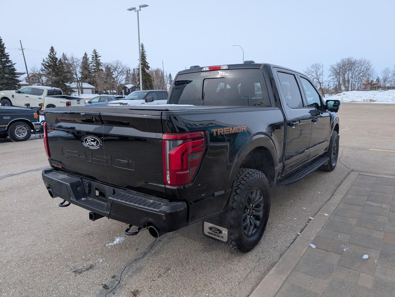 2024 Ford F-150 Tremor Photo