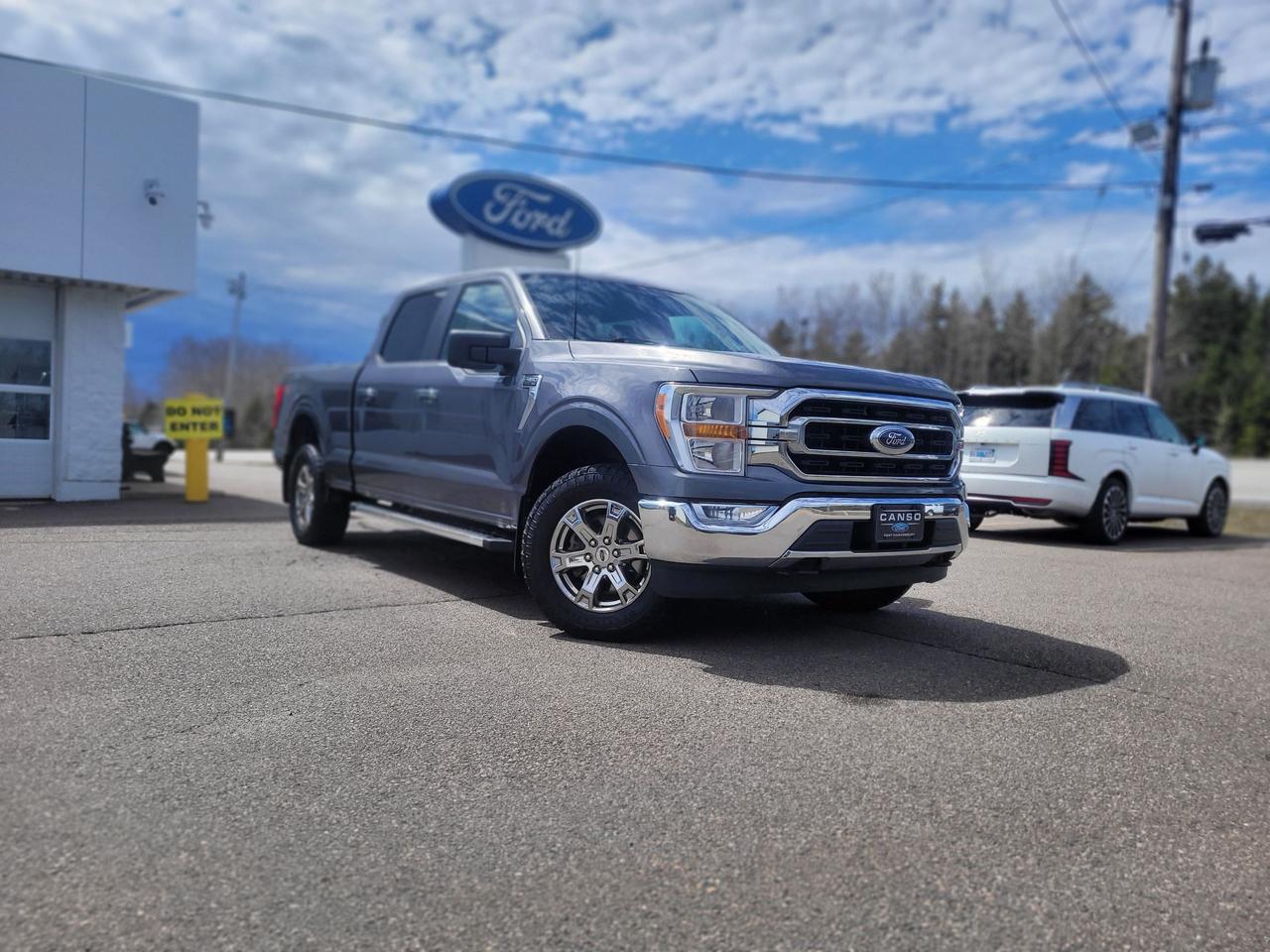 2022 Ford F-150 XLT 4WD SUPERCREW 6.5' BO Photo0