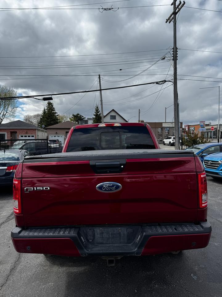 2017 Ford F-150 XLT | 4x4 | STANDARD BED | CERTIFIED Photo