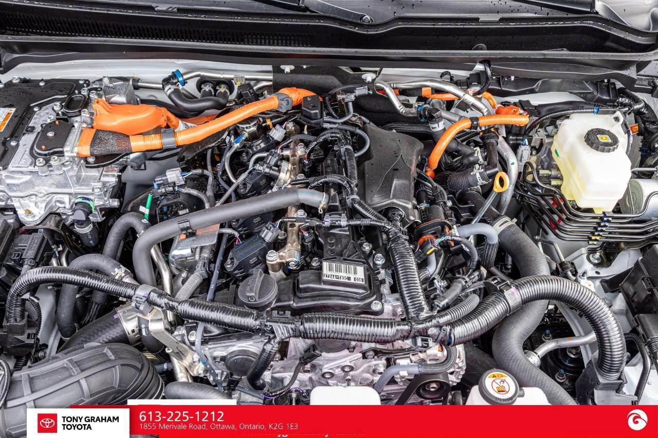 2026 Toyota TACOMA HYBRID  Photo